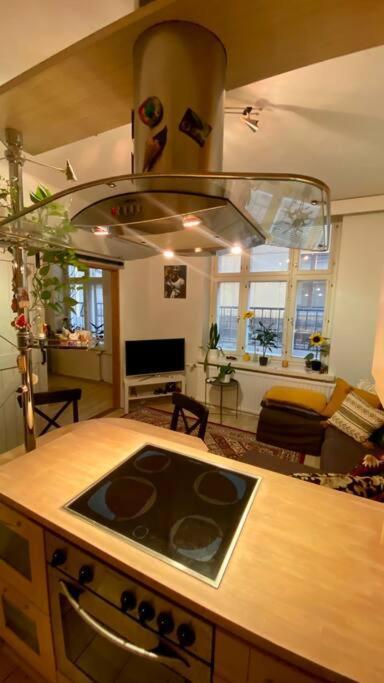 Lovely Apartment In The Centre, Street Level And Inner Yard Helsinki Buitenkant foto